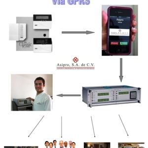 Photo of Asipro
