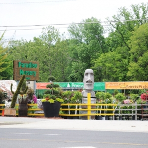 Photo of Paradise Landscape & Nursery