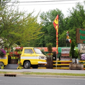 Photo of Paradise Landscape & Nursery
