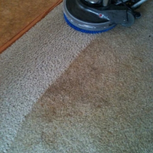 Photo of Steamworks Carpet Cleaning