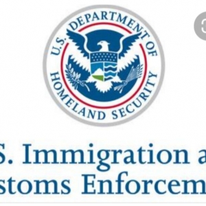 Photo of Tax And Immigration Pro Services