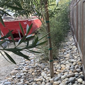 Photo of Mckay Irrigation Systems