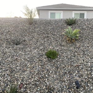 Photo of Green Leaf Landscaping and Maintenance