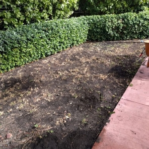 Photo of Eighth Son Landscaping