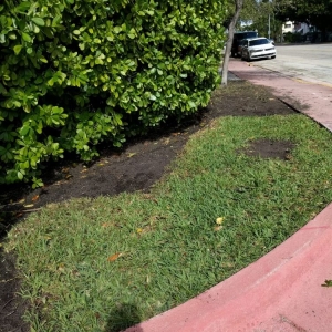 Photo of Eighth Son Landscaping