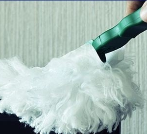 Photo of Anna's Cleaning Service