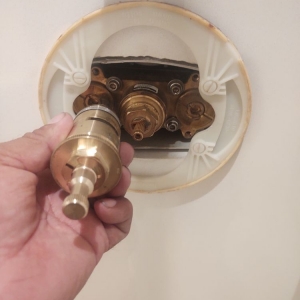 Photo of Real Plumbers