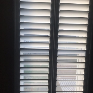 Photo of Love Is Blinds