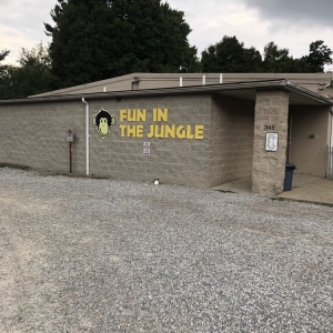 Photo of Fun in the Jungle
