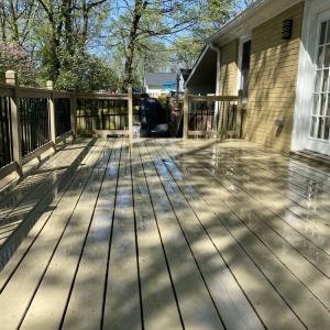 Photo of Wildcat Cleaning