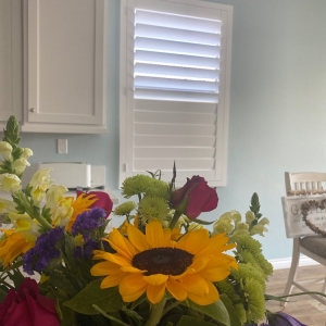 Photo of Shutter Craft