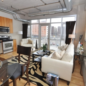 Minneapolis BRIX Real Estate