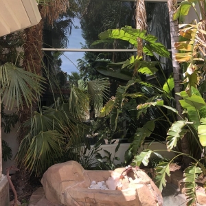 Photo of Window Masters