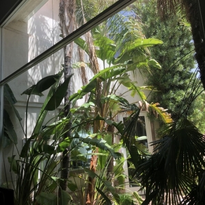 Photo of Window Masters