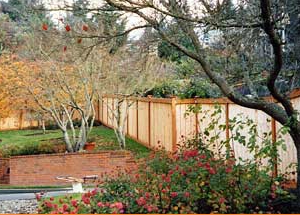 Photo of JD's Landscape Service And Design