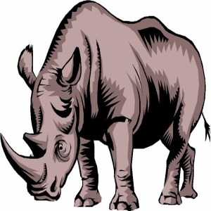 Edmonds White Rhino