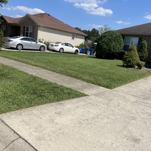 Photo of Oz Lawn Care