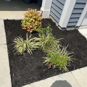 Photo of Oz Lawn Care
