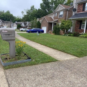 Photo of Oz Lawn Care