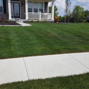 Photo of Bee Green Organic & Traditional Lawn & Plant Healthcare