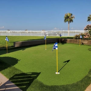 Photo of Texans Turf