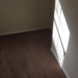 San Antonio Steam Solutions Carpet Care