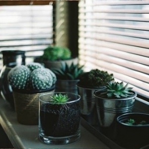 Photo of Bugsy's Blinds & Custom Shutters