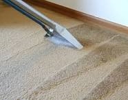 Photo of Prestige Carpet Cleaning
