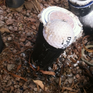 Photo of Bee Clean Pools