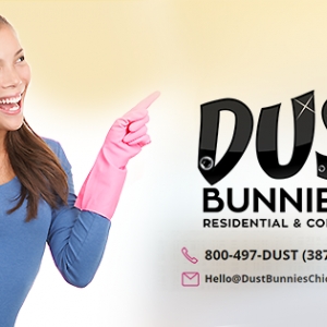 Photo of Dust Bunnies