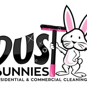 Photo of Dust Bunnies