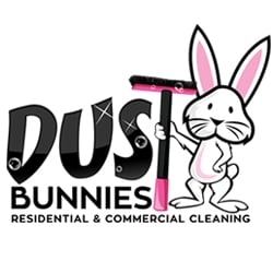 Photo of Dust Bunnies