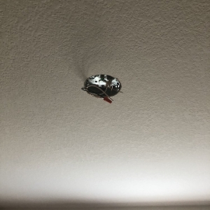 Photo of Target Electric