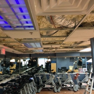 Photo of NY Insulate