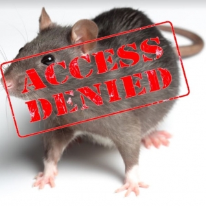 Photo of SF Rodent Control