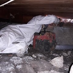 Photo of SF Rodent Control