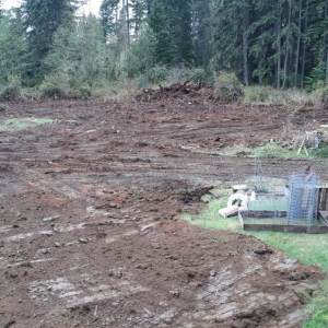 Photo of D R Brown Bulldozing