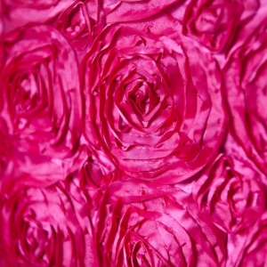 Photo of Sugar Plum Parties
