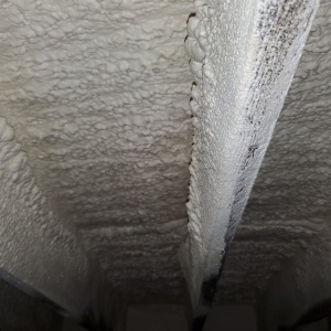 Photo of Sunlight Contractors