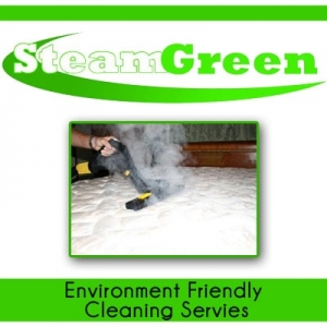 Westerville Steam Green Services