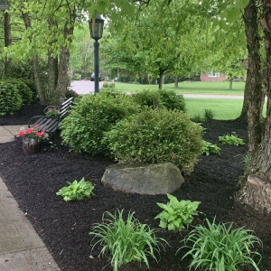 Photo of Happy Tree & Landscaping