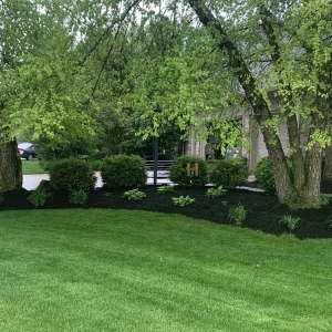 Photo of Happy Tree & Landscaping