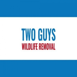 Photo of Two Guys Wildlife Removal