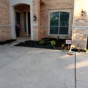 Photo of Taylor Lawn Care