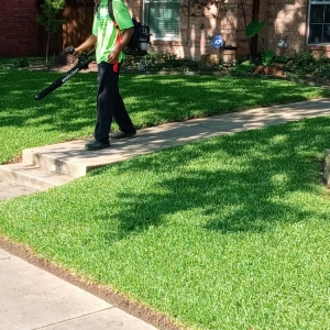 Photo of Taylor Lawn Care