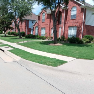 Photo of Taylor Lawn Care
