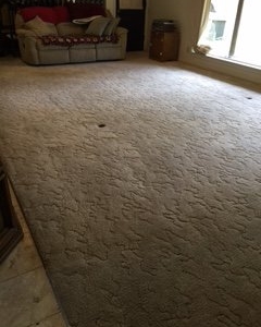 Photo of Temple Carpet Cleaning