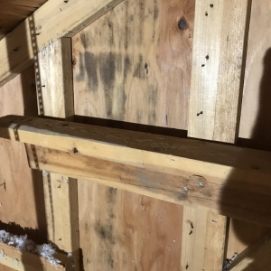 Everett A&M Restoration