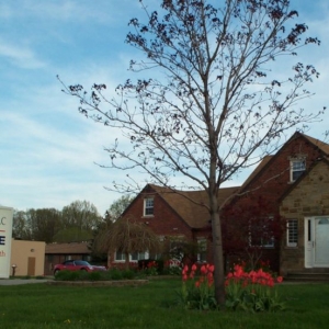 Photo of Inszone Insurance Services