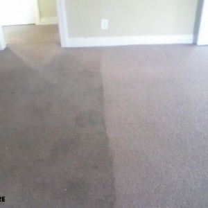 Photo of Impeccable Carpet Cleaning
